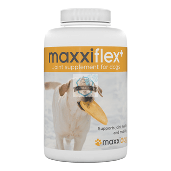 MaxxiPaws MaxxiFlex+ Joint Supplements for Dogs