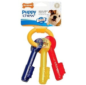 Nylabone Teething Keys for Puppies