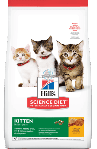 Hills Science Diet Kitten Chicken Recipe