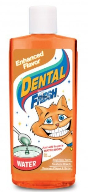 SynergyLab Dental Fresh Cat Enhanced
