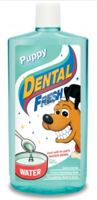 SynergyLab Dental Fresh Puppy